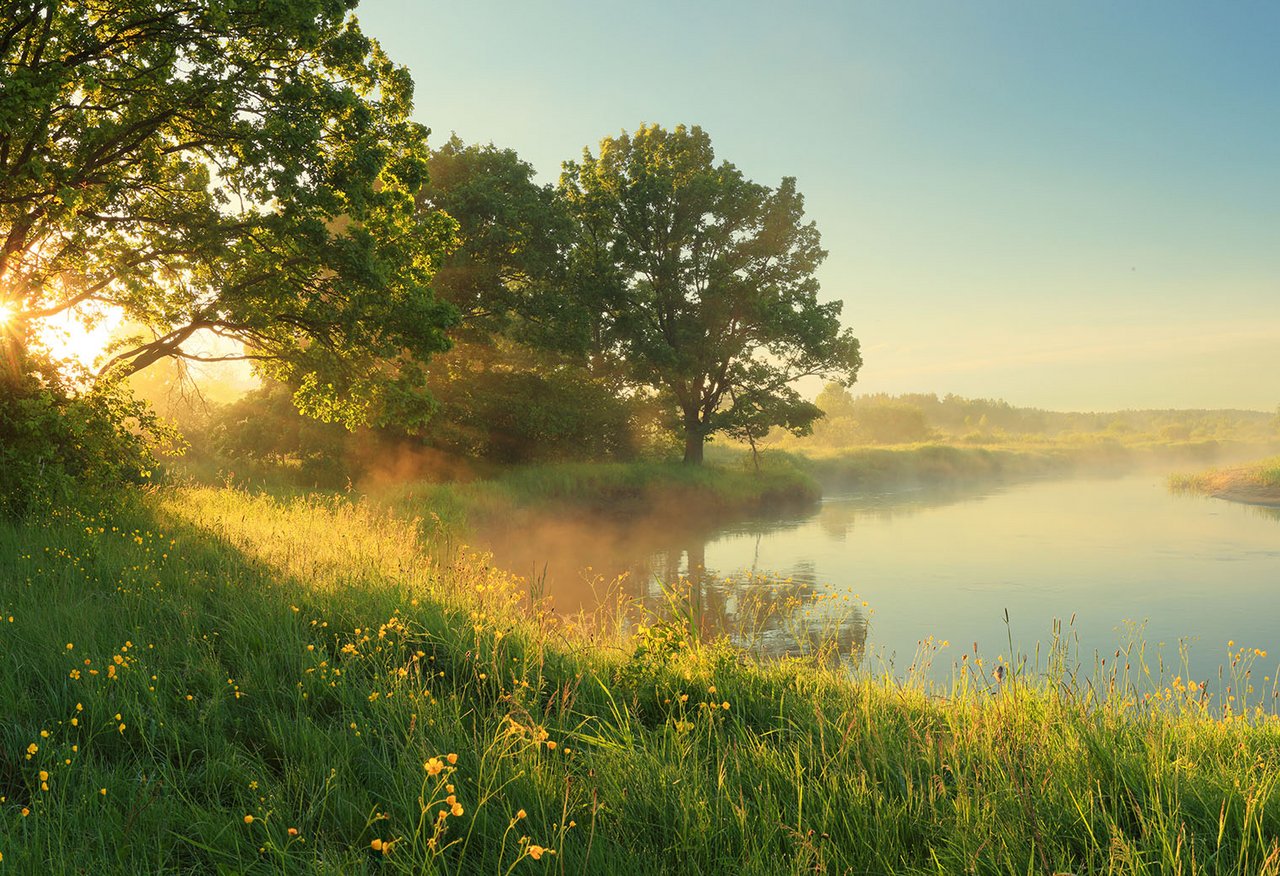 Bild Wiese, See im Hintergrund, Bäume im Vordergrund, Frühlingsmorgen, Tau ist zu sehen